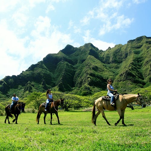 kualoa_horses2(1)